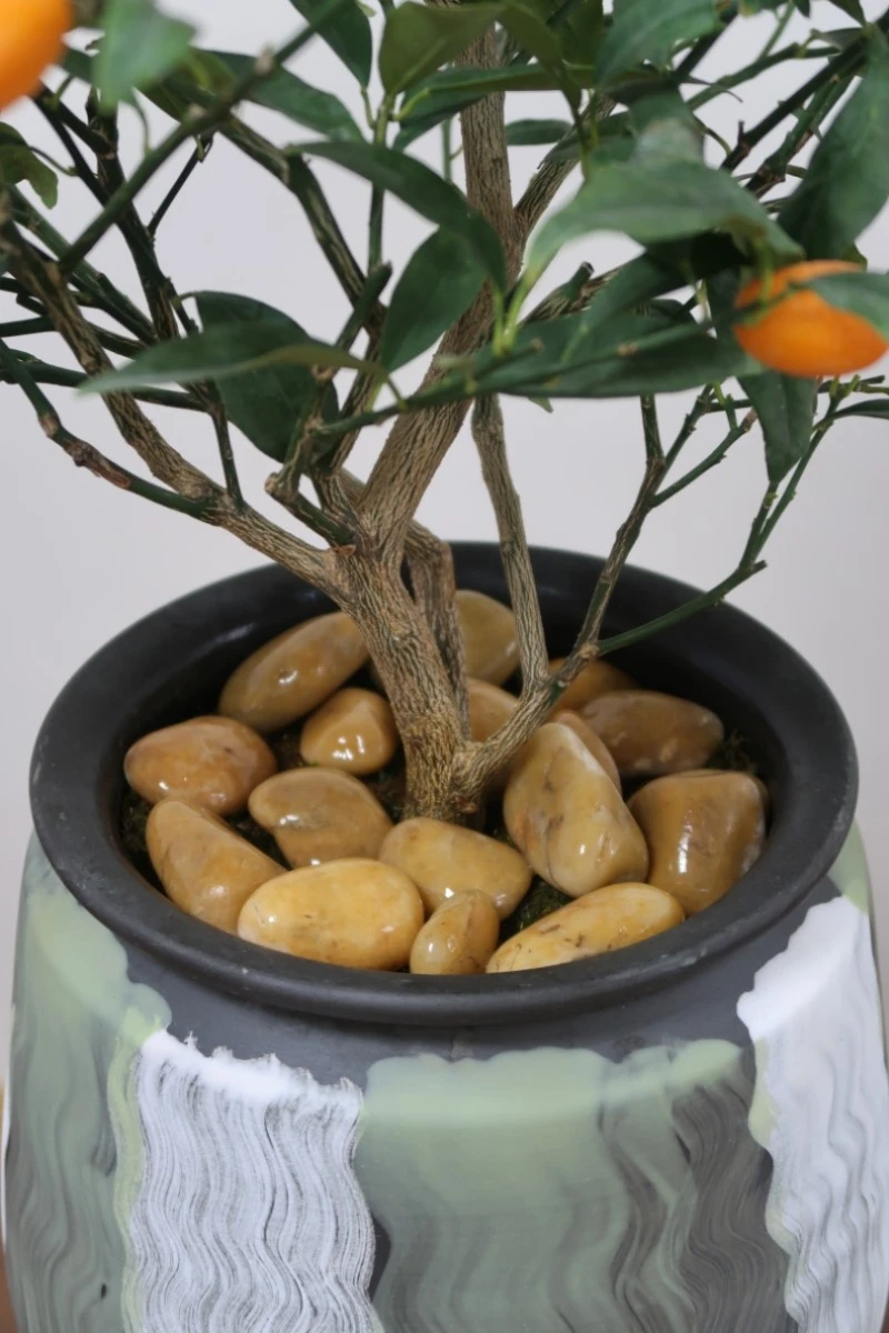 product-800-1200